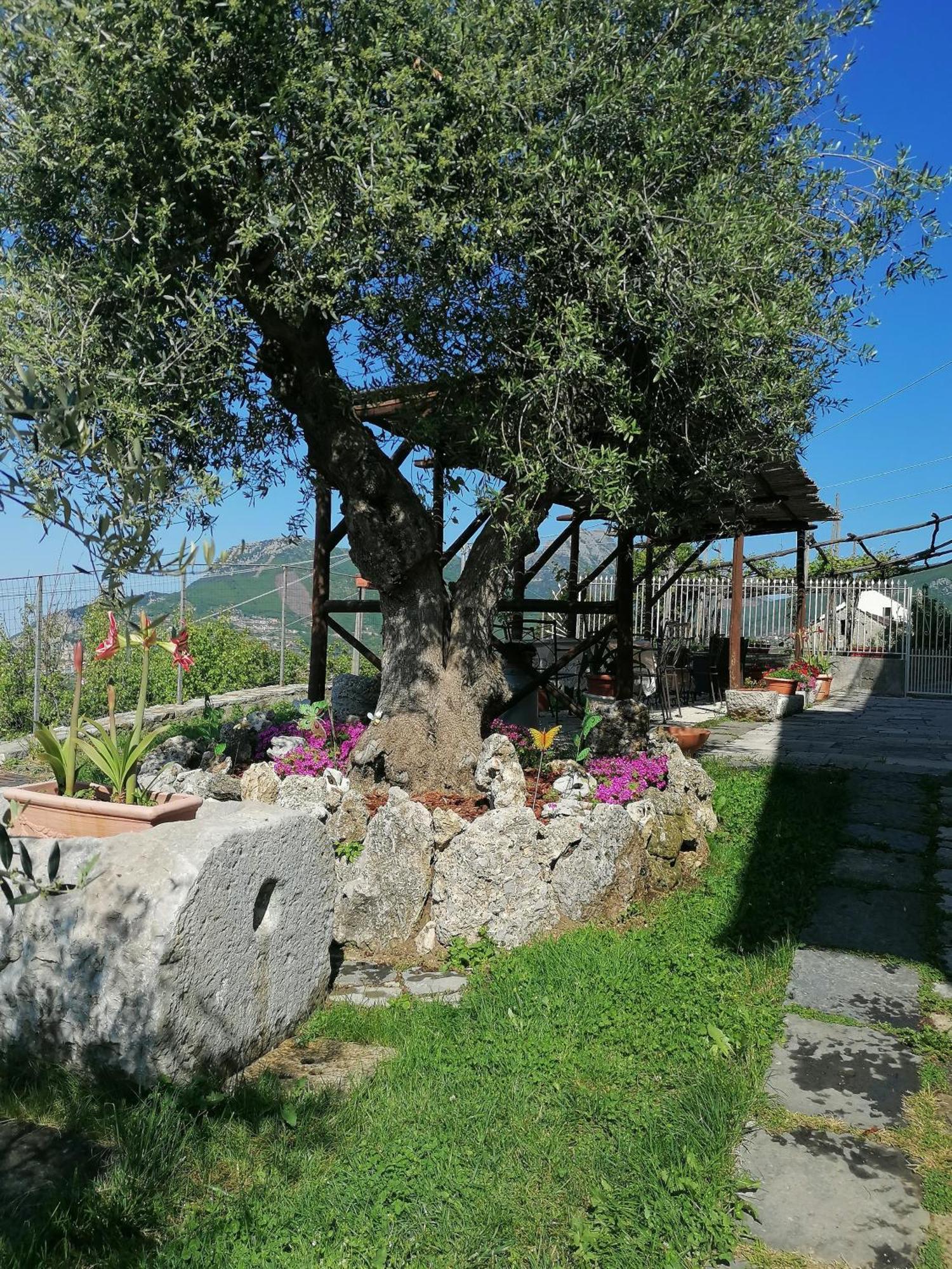 Bed and Breakfast Il Casale Del Generale Agerola Exterior foto